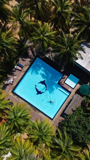 De Silva Windresort&Palmresort in Kalpitiya, Sri Lanka 🇱🇰 | De Silva Palmresort Kalpitiya features one of the biggest swimming pools in the area, surrounded by many beautiful palm... | Instagram