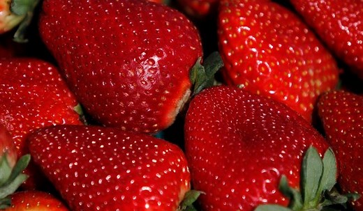 Flashfood app helps save money on groceries and reduce food waste