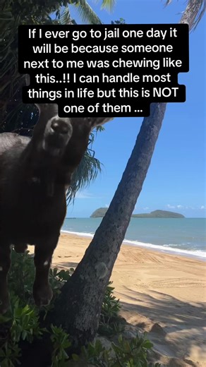 Annoying Chewing Sounds: Why They Drive Us Crazy