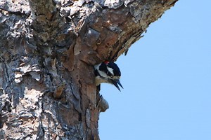 Taking in the Views at Key Vista Nature Park
