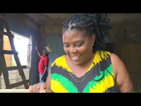 When it rains it pours | quick update | house project trying to control all this water