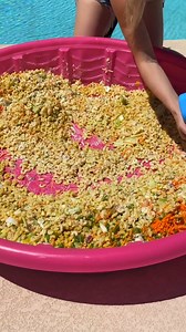 40K views · 115 reactions | Best way to serve parties for spring break! This video was produced by Network Media and Life with Alexa | Westcoast Creators of Network Media | Facebook