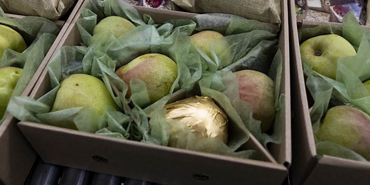 How Harry & David Gets 20,000 Tons of Pears to Doorsteps for the Holidays