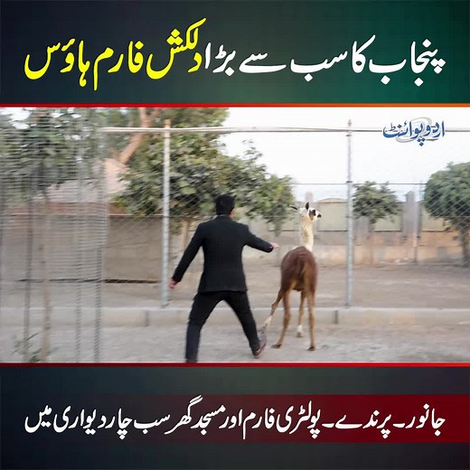 Explore Gulgasht Model Farm: Punjab's Premier Farmhouse