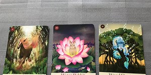 The Chinese Five Elements Oracle & Chinese Astrology