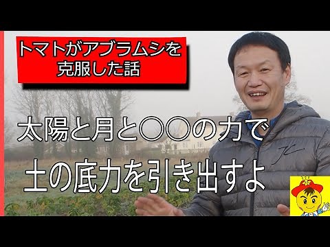 【自然栽培100】自然と○○の力で、微生物活性化！土と作物が本気を出せば、全て上手くいくよ！僕らはその手助けをしよう！