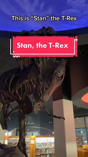 Meet Stan the T-Rex at Cerritos Library