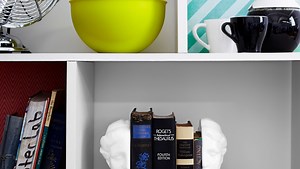 Get college dorm inspiration from SWFL interior designers