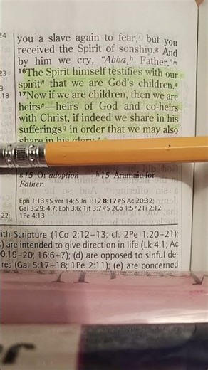 Roman's 8:16 Bible Verse