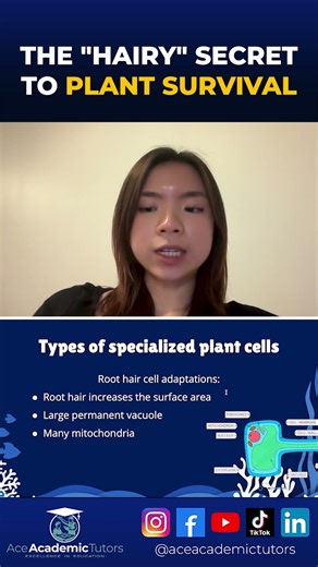 The Hairy Secret to Plant Survival 🌱 | Root Hairs Explained | Ace Academic Tutors