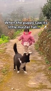 116K views · 7.1K reactions | The gentle hug and little pats. 殺 Video Credit: https://www.instagram.com/heapetofficial/ #Dogexpress #Celebratingdoglove #Doglovers #Dogowners #lovemydog #doglove #doglife #InnocentEyes #PuppyVibes #PetCare #FurryCompanions #DogsAreFamily #PawfectLove #CaringForDogs #HappyPups #UnconditionalLove #DogWellness #HealthyHounds #PuppyLoveForever #CanineCare #ResponsiblePetParent #DogsOfInstagram | DogExpress | Facebook