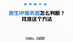 原生 IP 服务器怎么判断？找准这个方法