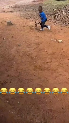 Gore Viral on Instagram: "1997년 개봉한 영화 Titanic은 잭과 로즈의 운 명적인 사랑을 통해 비극 속에서도 오래 남는 감 정의 깊이를 보여주는 작품입니다. 화려한 연출 보다 인물의 감정에 더 집중한 제임스 카메론 감 독의 스타일은 지금 다시 봐도 묘하게 가슴을 울 리죠. 배가 침몰하는 장면이 아닌, 두 사람이 서 로를 바라보던 순간들이 더 강하게 기억에 남는 영화이기도 합니다. 이 감정을 완성해주는 곡이 바로 셀린 디온의 *” My Heart Will Go On”*입니다. 처음 들으 면 잔잔한데, 어느 순간 자연스럽게 가슴이 벅차 오르는 느낌을 줍니다. 특히 후반부의 고조되는 보컬은 영화 속 잭과 로즈의 마지막 장면과 겹쳐 지면서 괜히 마음이 서늘해지기도 하고요. 많은 분들이 “이 노래가 나오면 왜 그 장면이 자동으 로 떠오르는지 모르겠다”고 말하는데, 그만큼 영화와 음악이 자연스럽게 얽혀 있는 곡입니다. 1998년 아카데미 주제가상을 비롯해 여러 상을