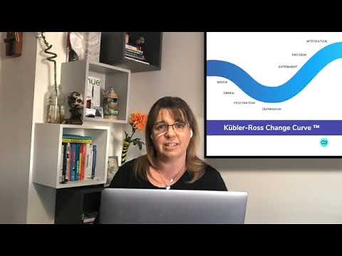 Kubler Ross 7-Stage Change Curve