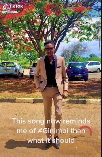 #Ginimbi #joeboy #mabebe #art #vicfast