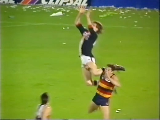 1991 Marks of the Year. | VFL AFL 20th Century History Photos Videos Memories