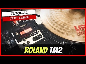 Roland TM2 Tutorial - Test - Recensione - Esempi Audio #249