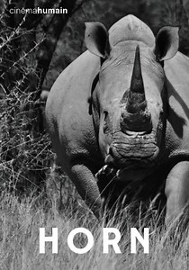 Horn streaming: where to watch movie online?