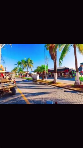 Things to do in Isla Mujeres! 🌴 1. Relax at Playa Norte 🏖️ – Chill on soft white sands and swim in crystal-clear waters. 2. Snorkel at Garrafon Reef Park 🤿 – Explore vibrant coral reefs and marine life. 3. Visit Punta Sur 🌅 – Take in breathtaking views from the island’s southernmost point. 4. Swim with Whale Sharks 🦈 – Dive into an unforgettable adventure (seasonal). 5. Tour the Underwater Museum (MUSA) 🎭 – Snorkel or dive to see stunning underwater sculptures. 6. Explore Downtown Isla Muj