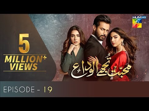 Mohabbat Tujhe Alvida Episode 19 | Eng Sub | Digitally Powered By Master Paints | HUM TV Drama