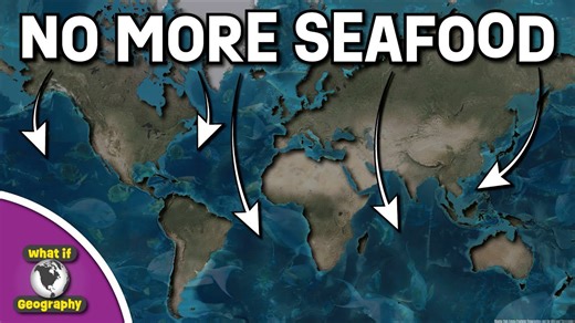 What happens if the oceans run out of fish? The global fisheries collapse