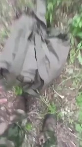 Random Grocery Bags In The Wild Are Never Good