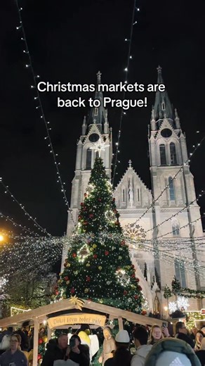 Prague’s Christmas markets in 2025 👇🏻 🌲 Náměstí Míru: November 20 - December 24 🌲 Staroměstské náměstí: November 29 - January 6 🎄 Václavské náměstí: November 29 - January 6 🌲 Holešovická Tržnice: November 27 - December 22 🌲 Výstaviště Holešovice: December 6 - December 7 (Pottery & Craft Market) 🌲 Kampa: December 3 - January 4 🎄 Tylovo náměstí: November 26 - December 24 🎄 Jiřího z Poděbrad: November 29 - December 23 🎄 Náměstí Republiky: November 25 - December 24 🎄 Mariánské Náměstí: N