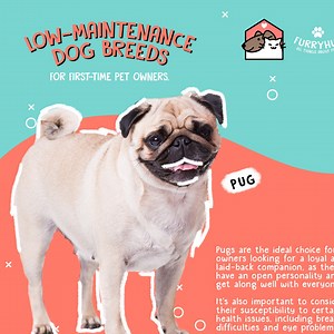 543 reactions · 33 shares | The first question you need to ask is ‘am...