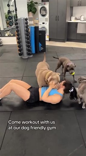 Rottweiler Love: Adorable Moments of Dog Life