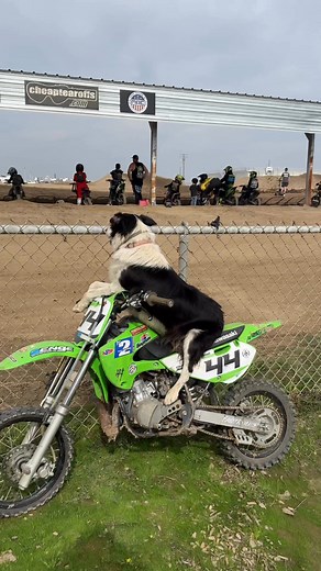 960K views · 17K reactions | Man’s best friend  #motocross | Jestonsendsit | Facebook