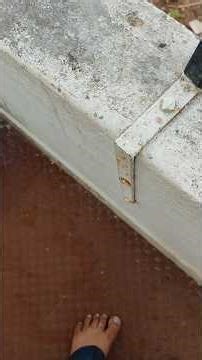 Mathil mel Poonai ( A Cat on the Wall).