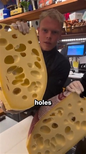 Why Does Swiss Cheese Have Holes? 🧀
