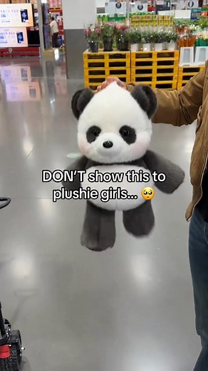 Forever a plushie girl 🤍 #stuffedanimals #plushtoy #plushies #cowplushie #foxplushie