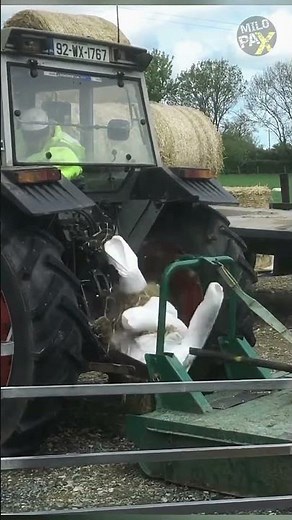 The Deadliest Tool on Your Farm? PTO Shaft Explained 🚜⚠️