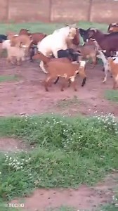 WhatsApp +2347020665694 #lagosnigeria #lekkiproperties #lekki...