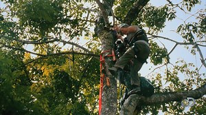 912 reactions · 52 shares | Jack always has the best one-liners. | Gold Rush | Facebook