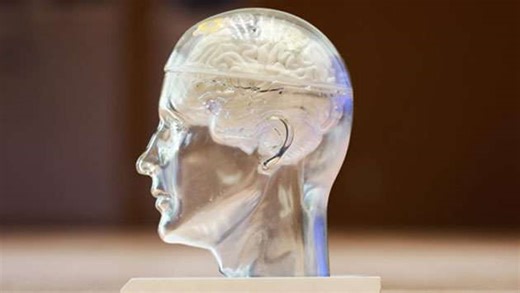 Brain–computer interfaces: China’s strategic bet on a constrained frontier