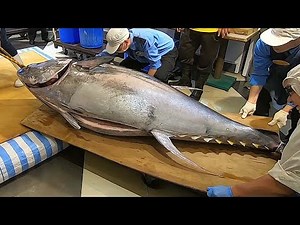 Taiwanese street food - Giant Bluefin Tuna Fish Cutting show for Sashimi Taiwan
