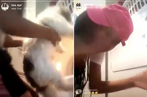 Disturbing video shows woman shoving pet dog into dryer