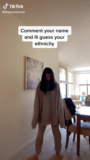 The persian cat on TikTok