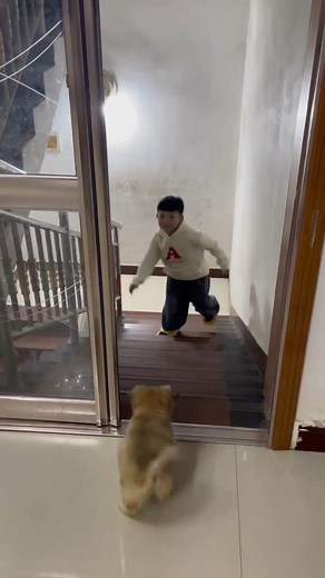 Waiting for his human | Animals World , Nature & Quotes