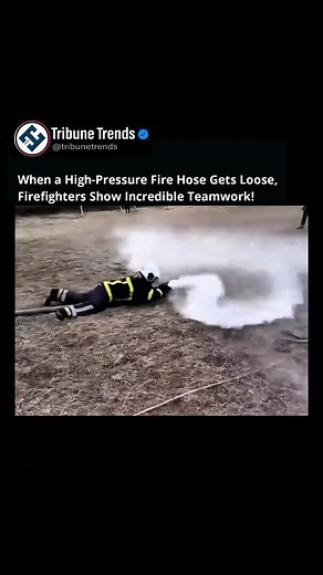 43K views · 33 reactions | When a high-pressure fire hose gets loose,...