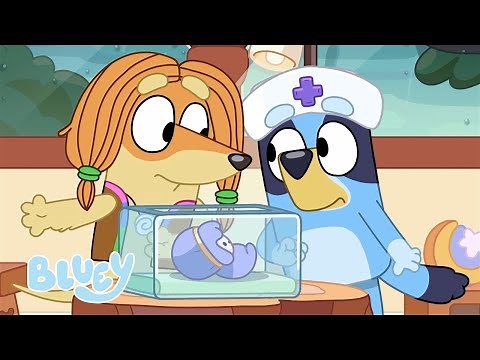 🔴 LIVE: Back to School with Bluey | Bluey