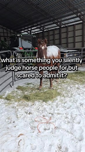 I'll go first... skinny horses at a show.... like put that thing back in the trailer and go feed it... #fyp #horsepeople #aqha#horsehacks #fypシ゚viral