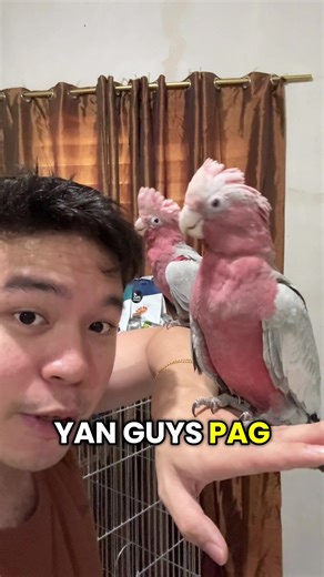 Step one follow 🧡