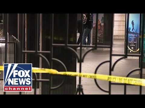 NYC CHAOS: Grand Central machete attack ends in police shooting