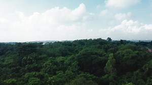 5.6K views · 36 reactions | On July 22, CBS China Bank Savings mobilized a team of employee eco-warriors and planted 750 tree seedlings and saplings at the La Mesa Watershed. This is part of the Bank’s commitment to help mitigate the impact of climate change and to be a more proactive participant in the Philippine sustainability agenda. | CBS China Bank Savings | Facebook