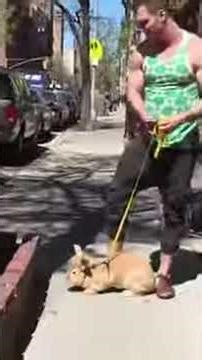 Sun'S Out, Bun'S Out ☀️ (8) #shorts