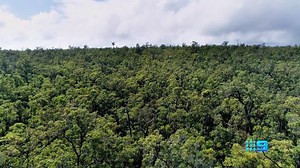 Will this missing person mystery reveal its true colours? #MissingPersonsInvestigation | Tonight after The Block on Channel 9 and 9Now | Channel 9