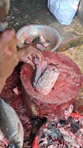 Amazing Fish Cutting Skills 🔪🐟 | Fast Fish Cutting